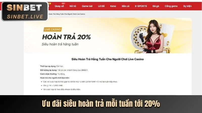 Khuyến mãi và đăng ký VN8